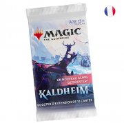 acceder a la fiche du jeu Magic The Gathering : Kaldheim Set Booster FR