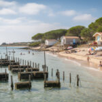 découvrez les activités incontournables à faire au cap ferret et profitez de nos conseils pratiques pour un séjour réussi entre nature, plages, et gastronomie locale.